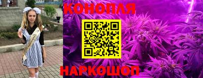 дживик Ставрополь