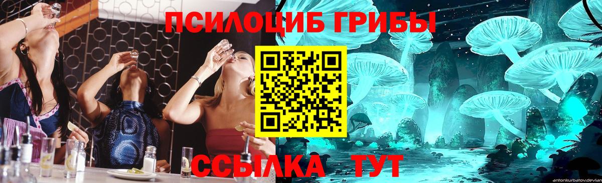 Мценск  Галлюциногенные грибы MAGIC MUSHROOMS  Вход с VPN 