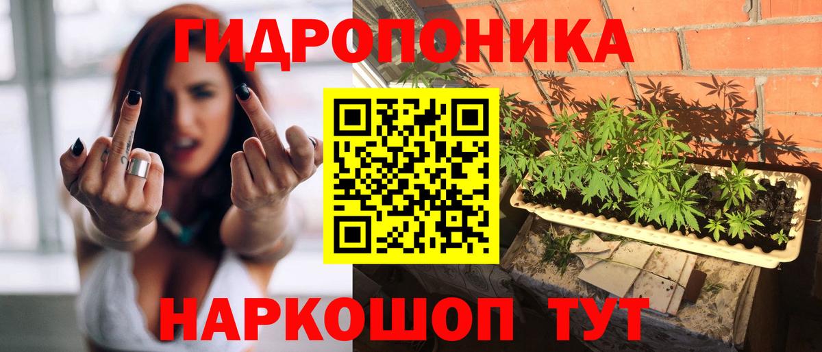 Мценск  Бошки марихуана SATIVA & INDICA  МАРИХУАНА ГИДРОПОН  Вход с VPN 